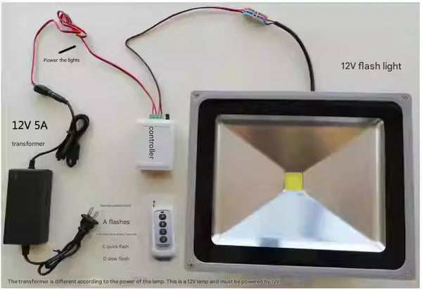 ‌Horror Effect Capture-Flash (NPC-Driven)