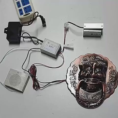 Lion's Head Knocker
