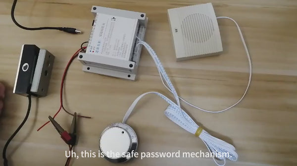 Combination Lock Puzzle